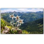 Magnet decorativ personalizat - imagine 3